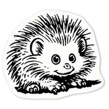 'African Pygmy Hedgehog' Decal