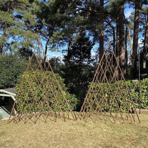 Willow garden obelisk - willow, wooden