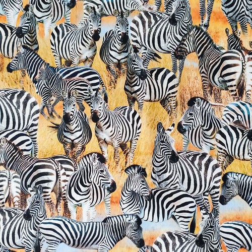 100 cotton fabric - 100%,