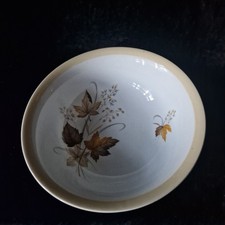 Vintage Alfred Meakin Glo-White Serving Bowl "Autumn Leaves"