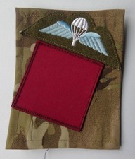British Army 1st Battalion Parachute Regiment MTP Blanking Panel/Para Wings