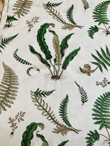Baker ferns curtain - baker,