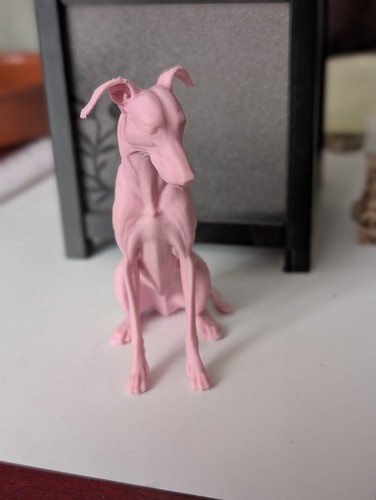 Greyhound lurcher whippet - whippet, home