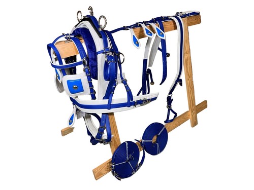 Full size tie down horse - size,