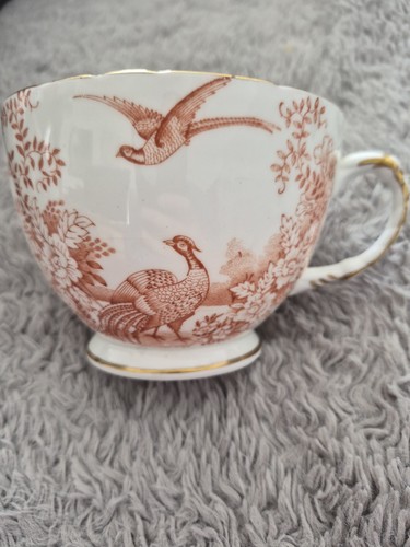 Sutherland china exotic - sutherland,
