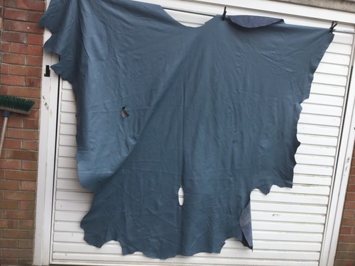 Large leather whole - cow, hide