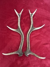 PAIR OF RED DEER ANTLERS 756g