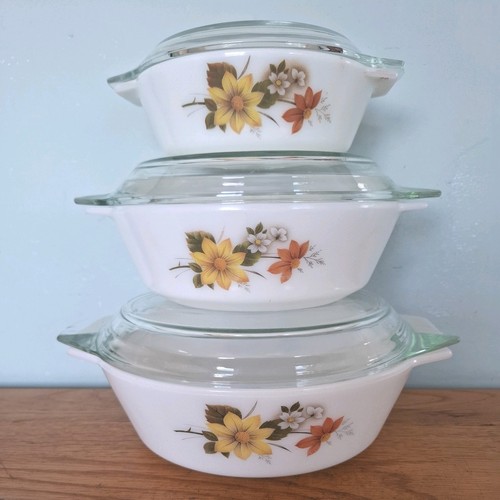 Pyrex autumn glory vintage - autumn,