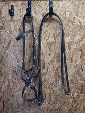 Kate Negus English Leather