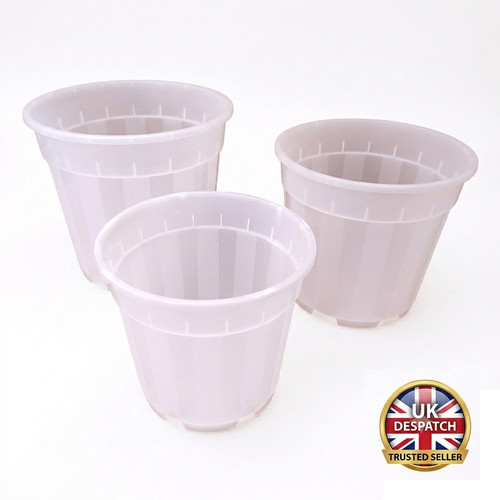Clear orchid pots plastic - clear,