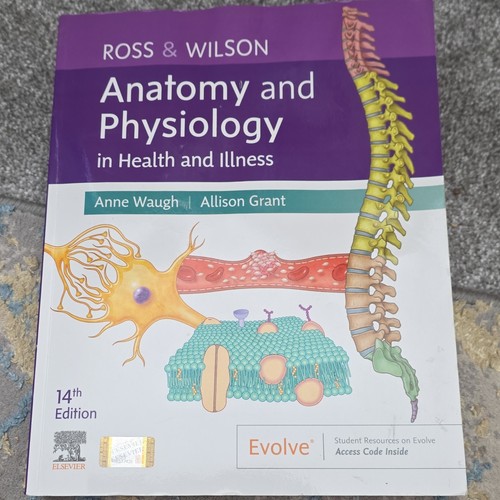 Ross wilson anatomy - ross,