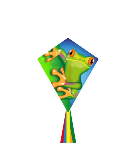 Eddy froggy kite - froggy, ages