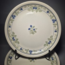 6 Rare Biltons Blackberries Dinner Plates Blue 9¾ 25cm Dinning Set England