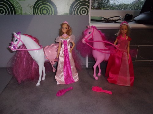 Barbie dolls princess - barbie, in
