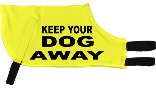 Keep your dog - dog, greyhound