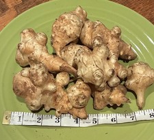 Jerusalem Artichokes, Sun