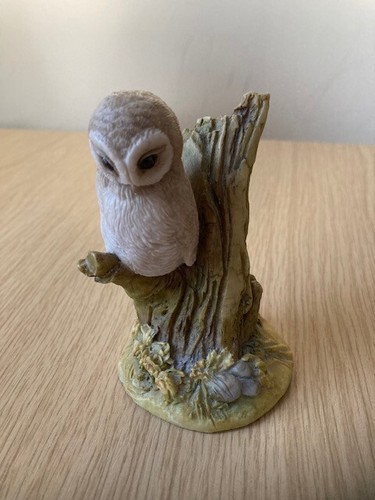Teviotdale owl tree - teviotdale, branch