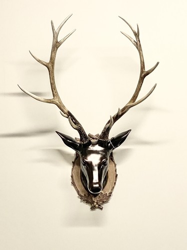 Large stag head - head, deer