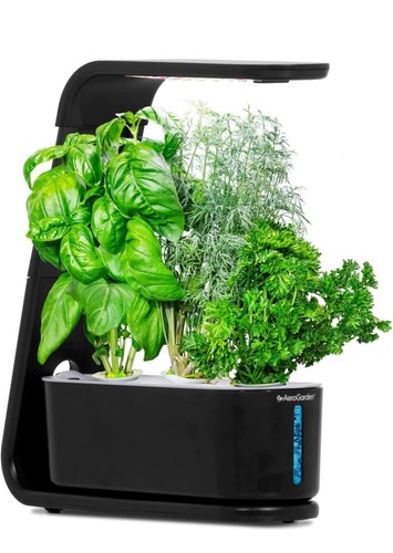 Aerogarden sprout with seed - aerogarden,