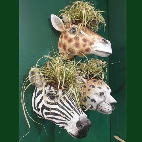 Resin animal head shaped - resin, plant