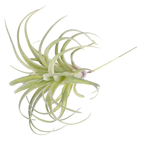 Artificial flower home decor - artificial,