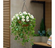 Garden Reflections Pre-Lit