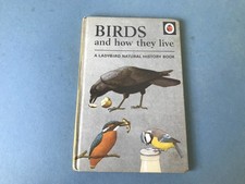 Birds and how the live -
