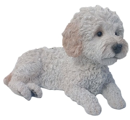 Vivid arts labradoodle crème - vivid,