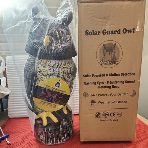 Water resistant solar owl with - owl,