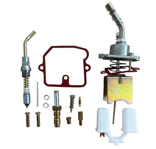 Carburetor repair kit overhaul - repair,