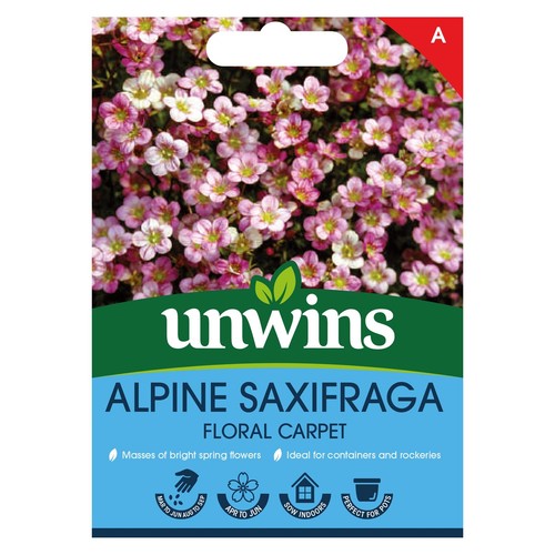 Unwins flower saxifraga - flower,