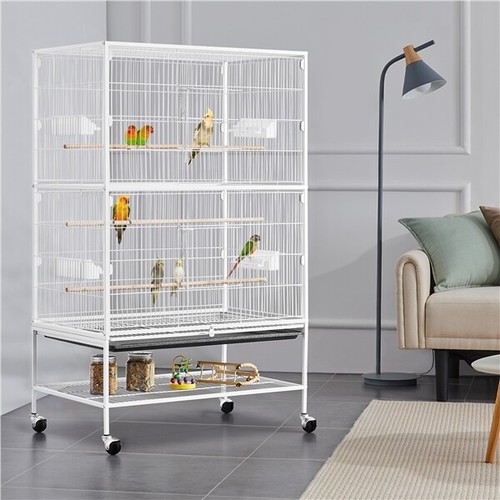 Large parrot bird - large, for