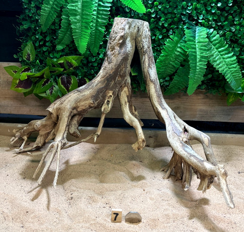 Talawa wood aquascaping - wood,