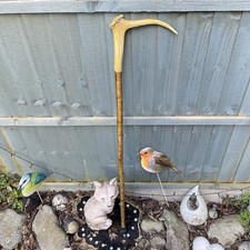 Vintage Red Deer Stag Horn
