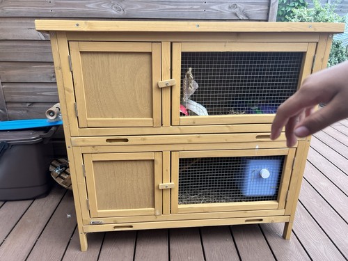 Pawhut rabbit guinea pig - rabbit,