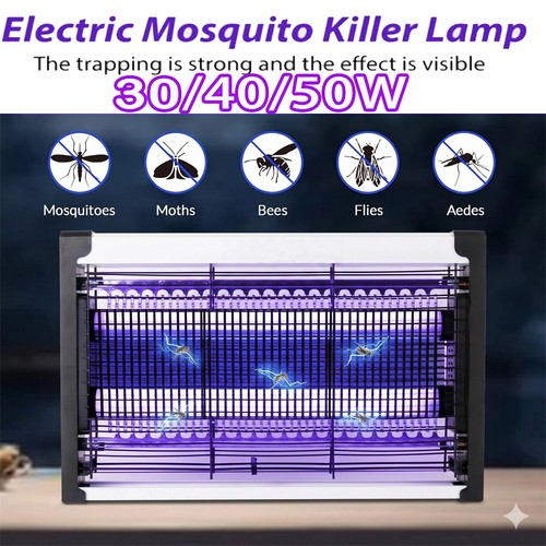 Bug zapper electric insect - bug,