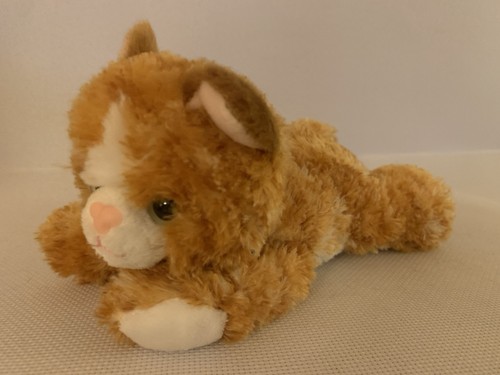 Aurora cat kitten ginger - cat, soft