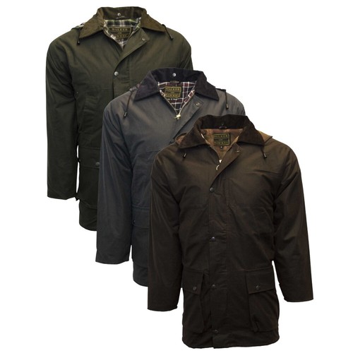 Walker and hawkes men - hawkes, men's