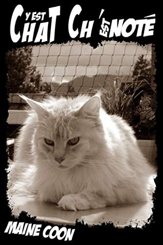 Chat est - est, noté"