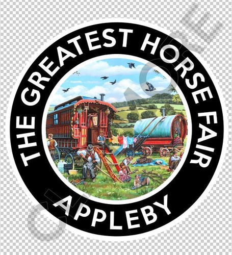 Appleby horse fair cumbria - horse,