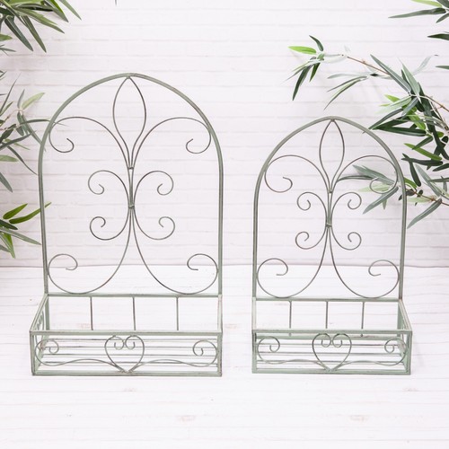 Green garden wall flower - garden,