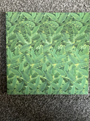 Super stereogram paperback - super,
