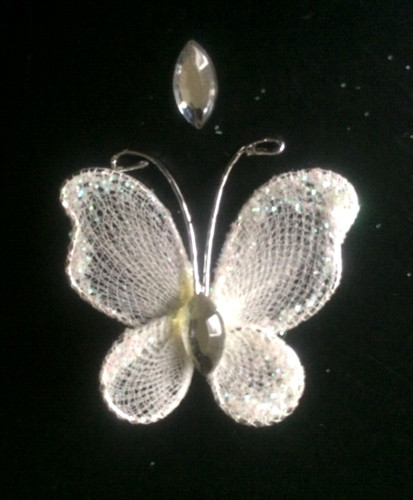 Sew glue on glitter - 1, x