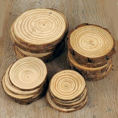Natural wood log slices - wood,