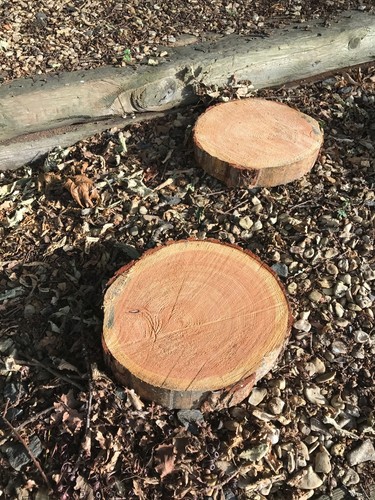 Log garden stepping - x,