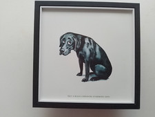 Bryn Parry Shooting/ Dog  print  'Get A Black Labrador; Everybody Does'  FRAMED