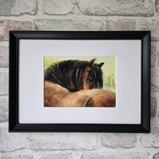 Original Watercolour Painting Horse  Pony Bay Framed