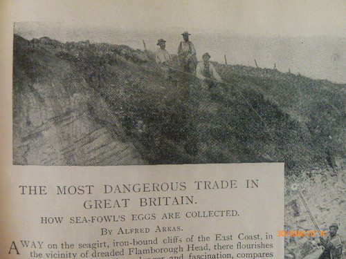 Egg collecting dangerous - egg,