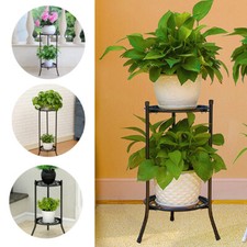 2 Tiers Rising Tall Plant