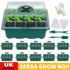 10PCS 12 Holes Seed Starter